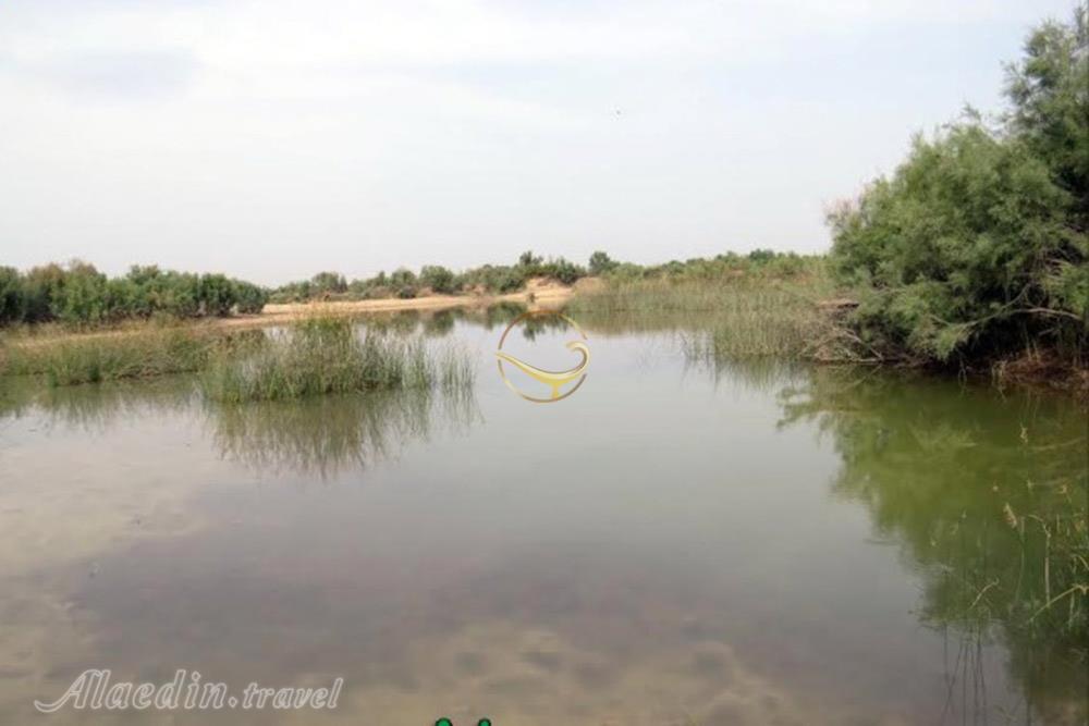 منطقه حفاظت شده حله در بوشهر | علاءالدین تراول