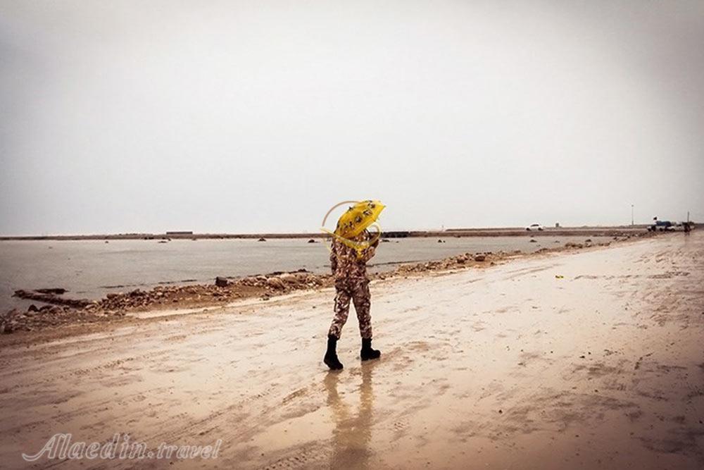 جزیره شیف در بوشهر | علاءالدین تراول