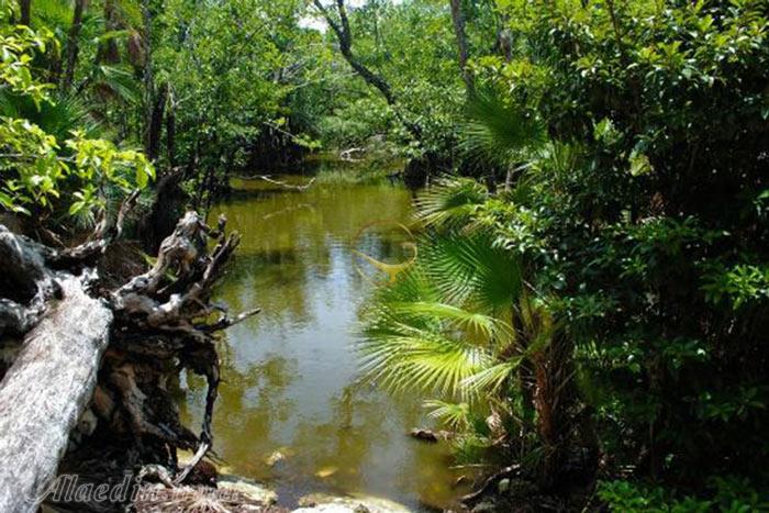 پارک آربانو کابا کانکون - مکزیک