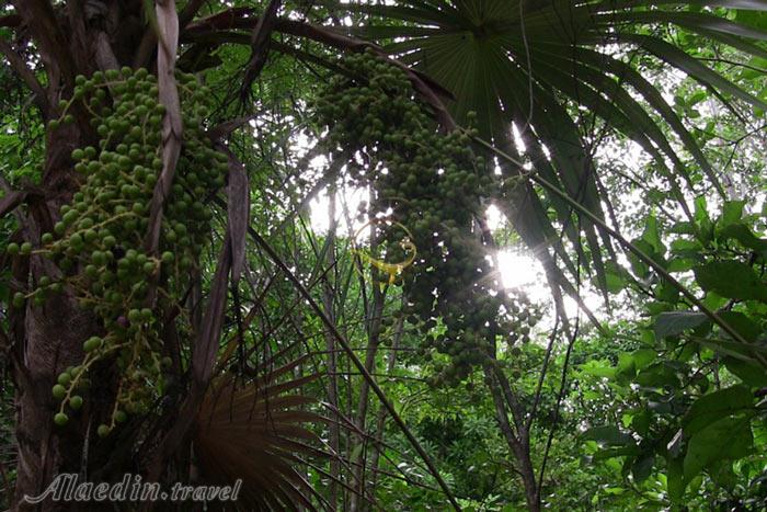 پارک آربانو کابا کانکون - مکزیک