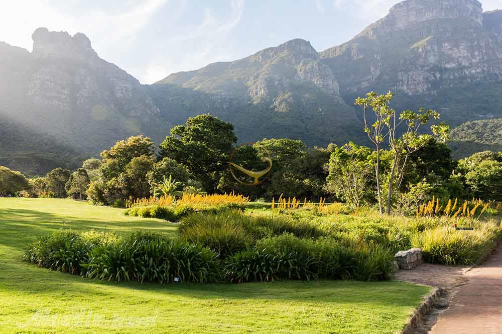 باغ گیاهشناسی ملی کریستن بوش کیپ تاون | علاءالدین تراول