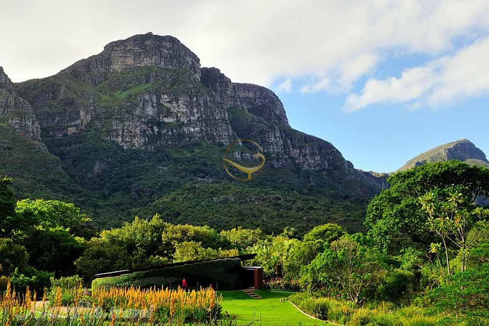 باغ گیاهشناسی ملی کریستن بوش کیپ تاون | علاءالدین تراول