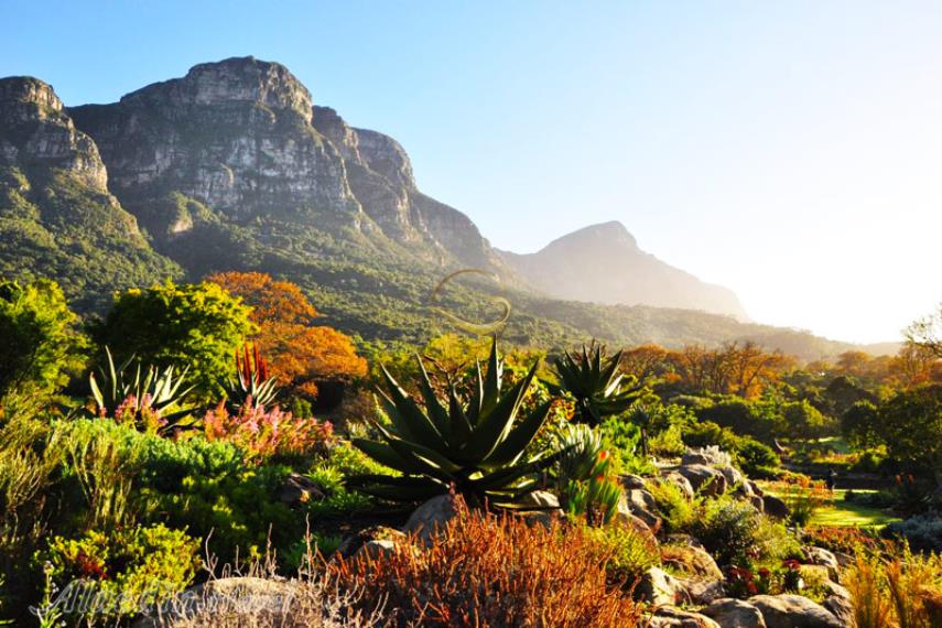 آبشار کرستنبوش کیپ تاون - آفریقای جنوبی