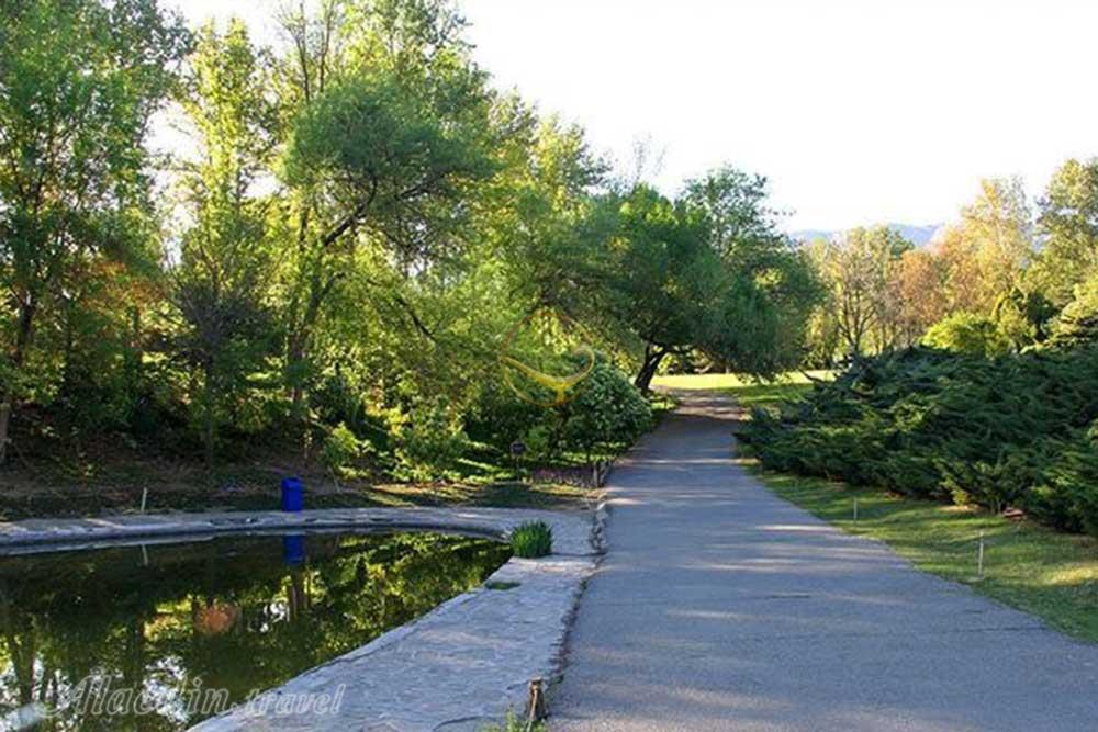 باغ گیاه شناسی چابهار | علاءالدین تراول