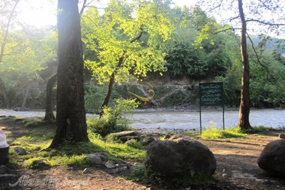 پارک جنگلی فین چالوس | علاءالدین تراول