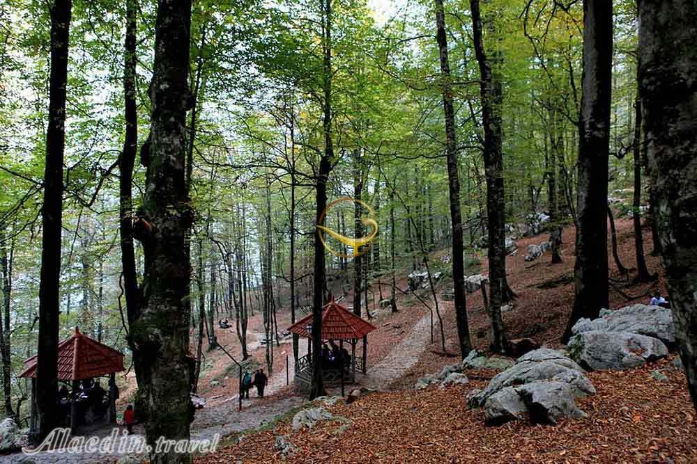 تله کابین نمک آبرود در چالوس | علاءالدین تراول