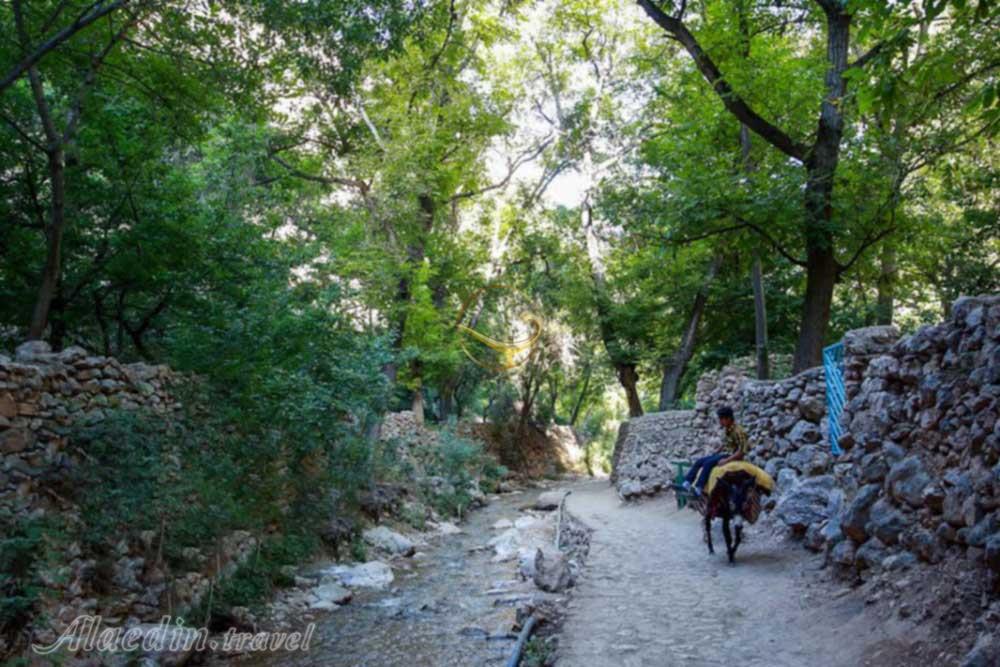 روستای اخملد در چناران - مشهد | علاءالدین تراول