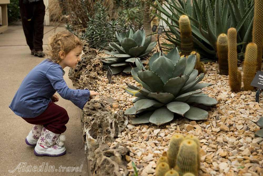 هنرستان پارک گارفیلد شیکاگو - آمریکا | علاءالدین تراول