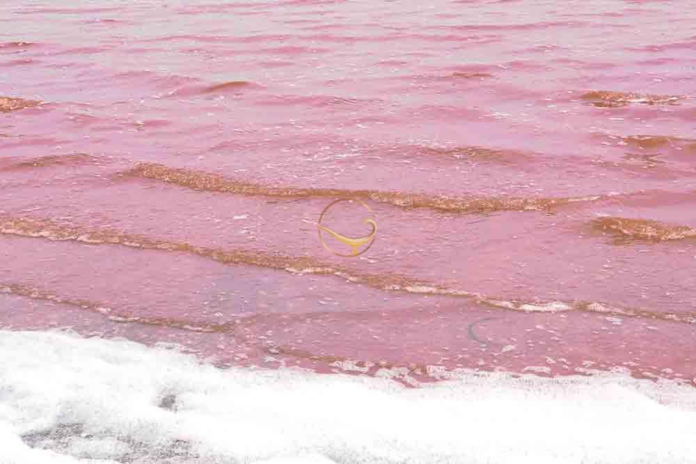 رودخانه ربتا در داکار - سنگال | علاءالدین تراول