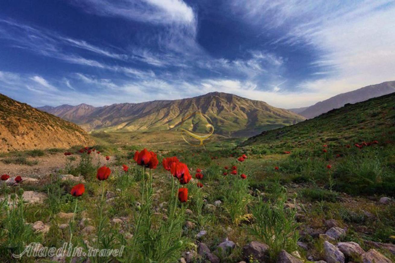 پارک ملی لار دماوند | علاءالدین تراول