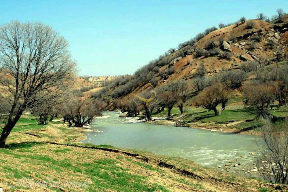 تنگ گاشمار دلفان | علاءالدین تراول