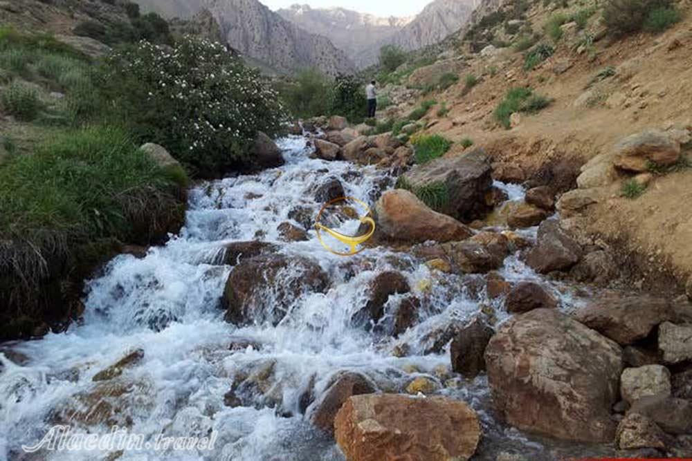 چشمه میشی دنا | علاءالدین تراول