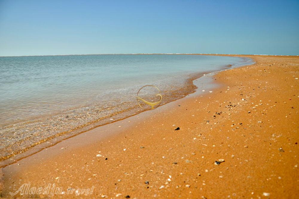 جزیره متاف (مطاف) در دیر | علاءالدین تراول