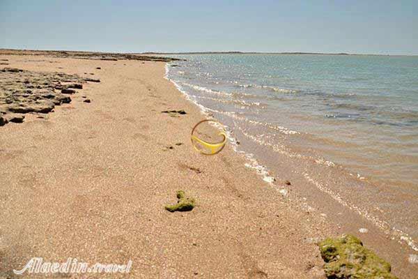 جزیره ام الکرم (جزیره گرم) در دیر