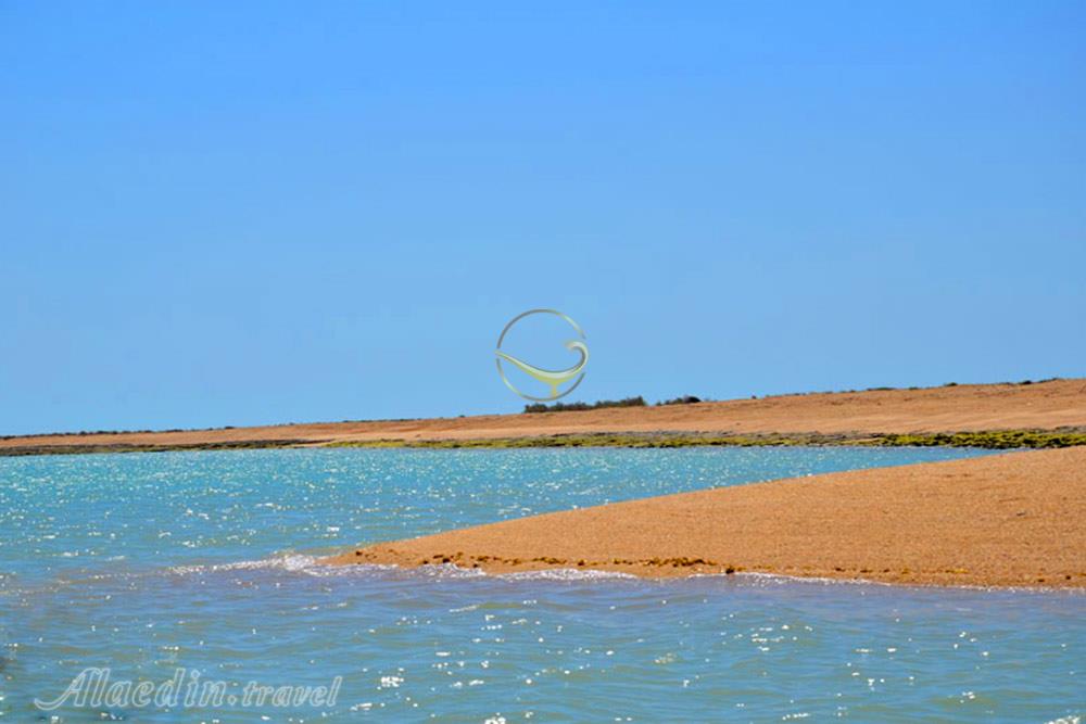 جزیره ام الکرم (جزیره گرم) در دیر | علاءالدین تراول