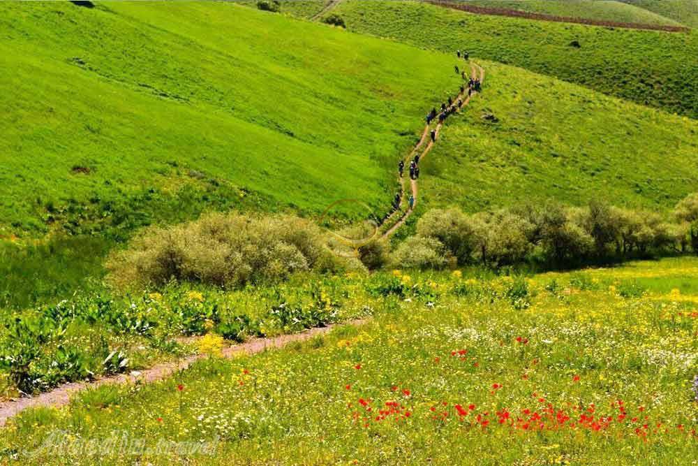 کوه چهل چشمه دیواندره | علاءالدین تراول