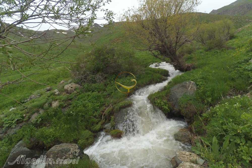 کوه چهل چشمه دیواندره | علاءالدین تراول