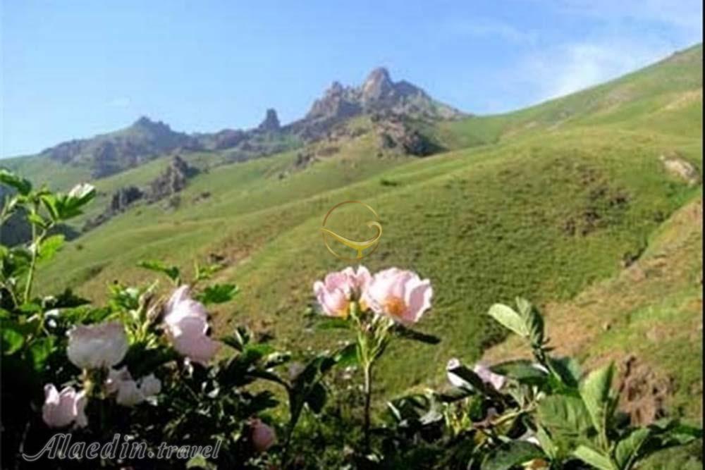 منطقه شکار ممنوع زرینه اوباتو دیواندره | علاءالدین تراول