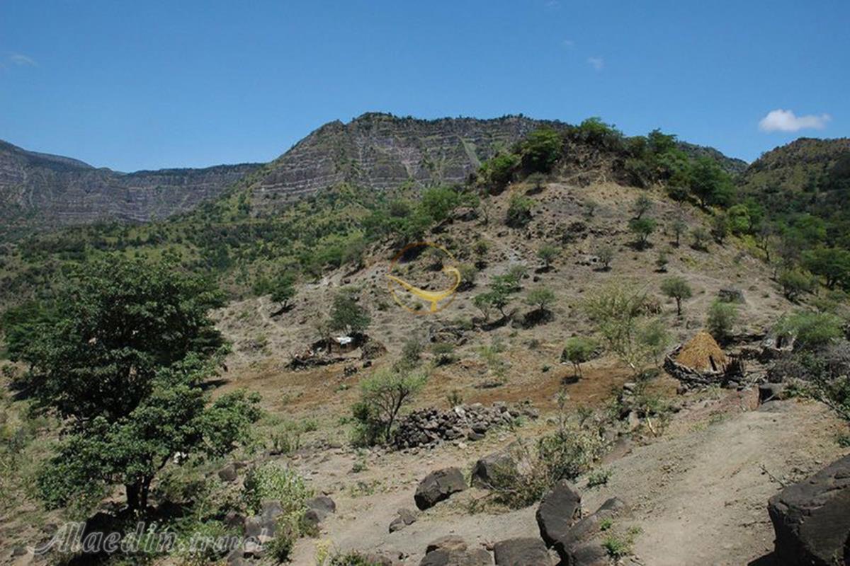 پارک ملی جنگل روز جیبوتی سیتی | علاءالدین تراول