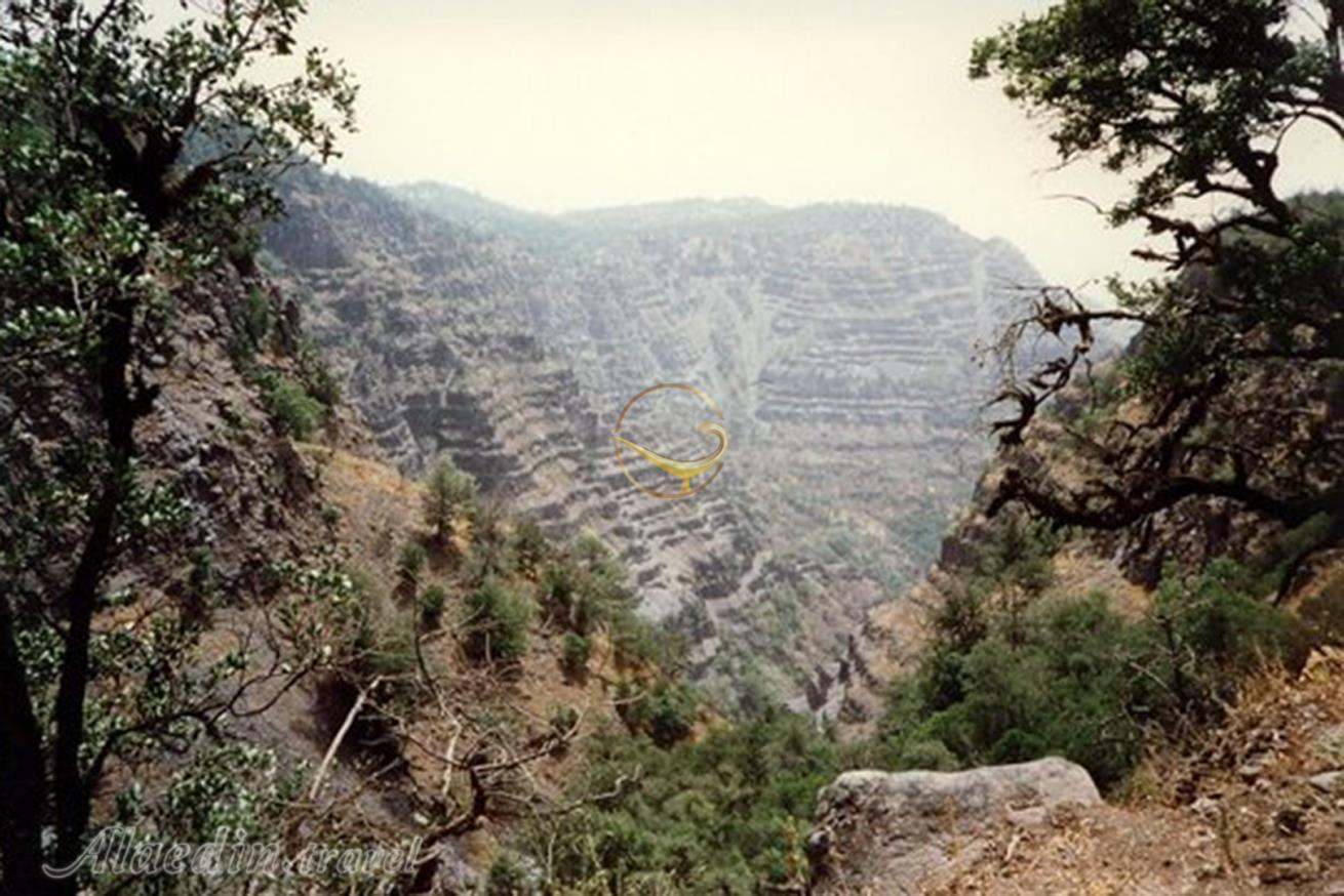 پارک ملی جنگل روز جیبوتی سیتی | علاءالدین تراول