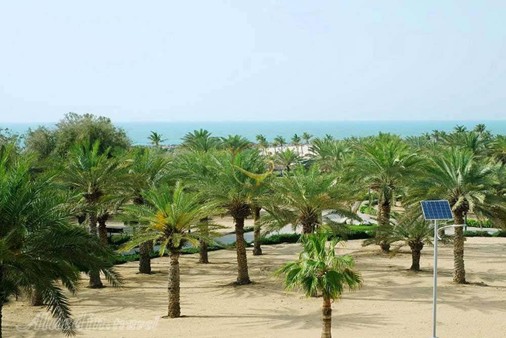 پارک ساحلی الممزر در دبی - امارات متحده عربی | علاءالدین تراول
