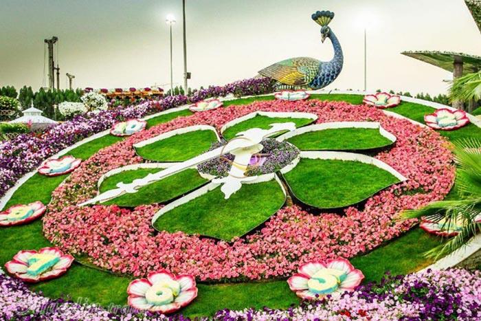 پارک معجزه در دبی - امارات متحده عربی