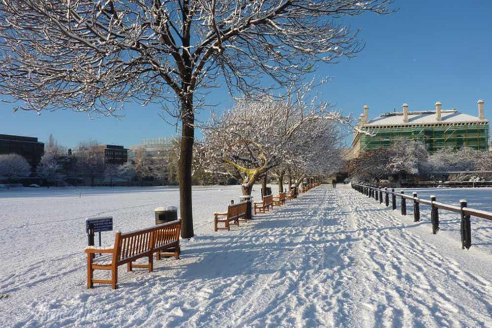 کالج ترینیتی دوبلین - ایرلند | علاءالدین تراول