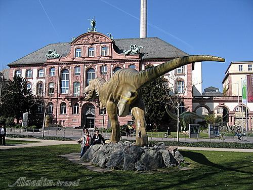 موزه تاریخ طبیعی زنکنبرگ فرانکفورت - آلمان