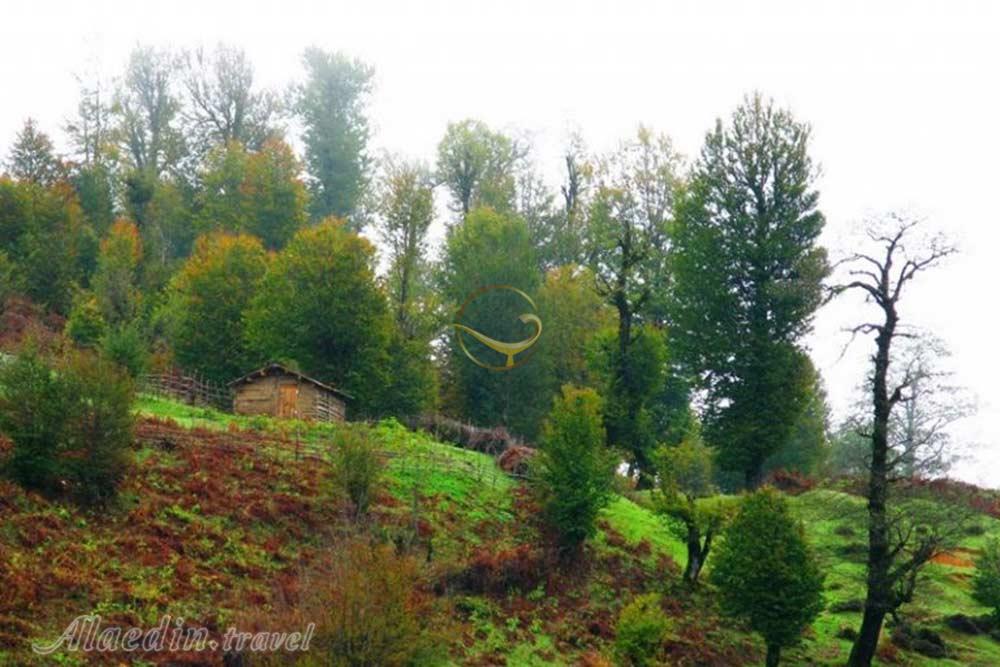 منطقه حفاظت شده گشت رودخان فومن | علاءالدین تراول