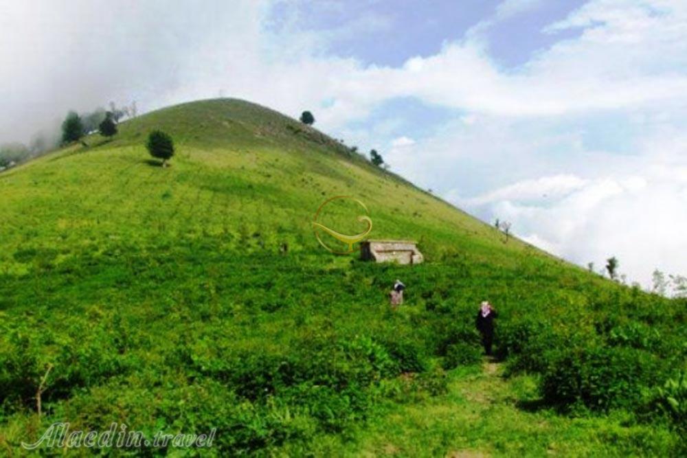 ییلاق زودل سر فومن | علاءالدین تراول