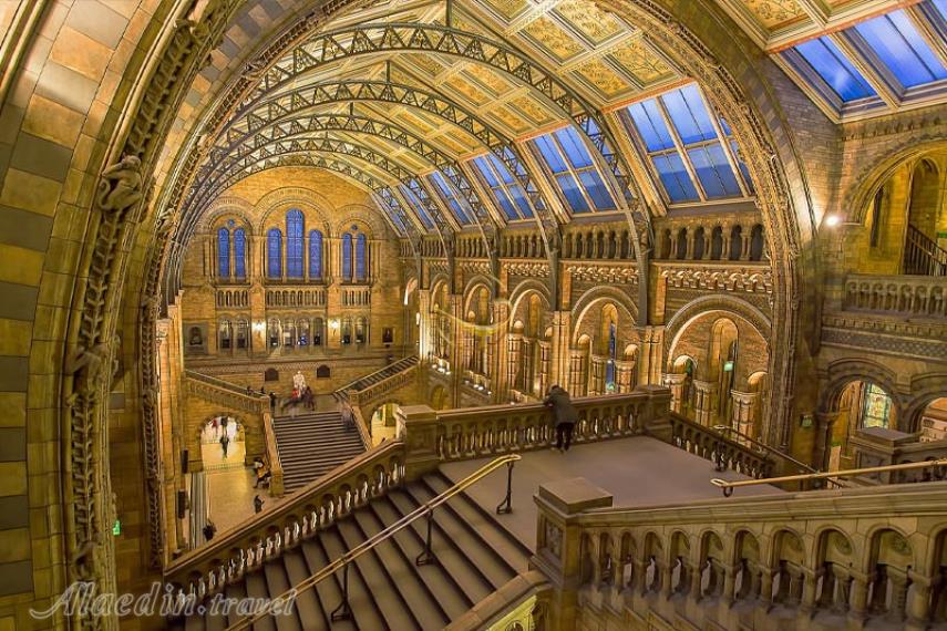 موزه تاریخ طبیعی ژنو | علاالدین تراول