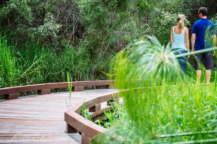 هینترلند گلد کوست | علاالدین تراول