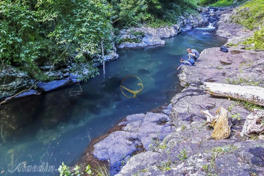 پارک ملی لمینگتون در گلد کوست | علاالدین تراول