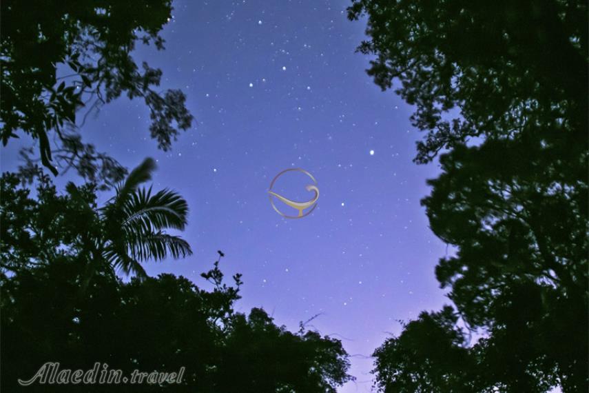 پارک ملی لمینگتون در گلد کوست | علاالدین تراول