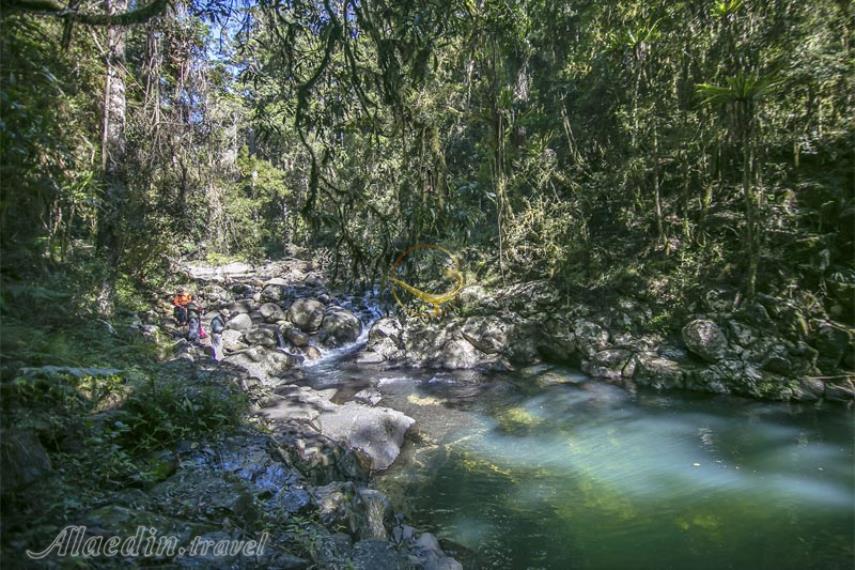 پارک ملی لمینگتون در گلد کوست | علاالدین تراول