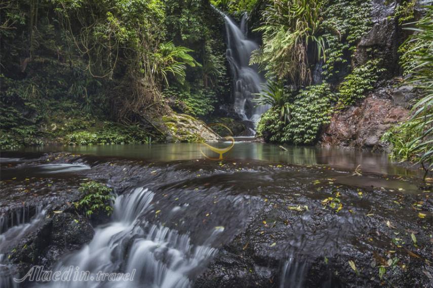 پارک ملی لمینگتون در گلد کوست | علاالدین تراول