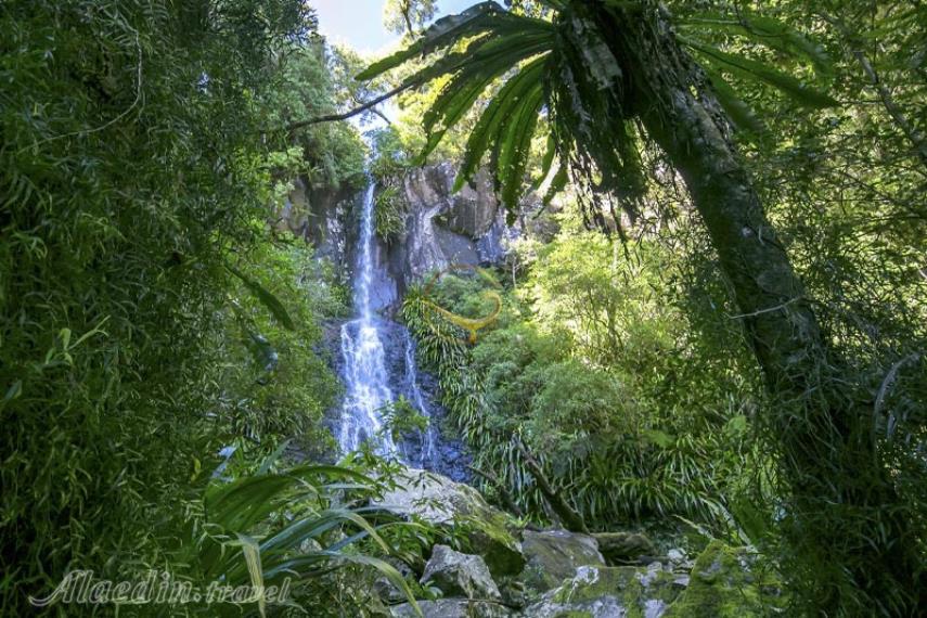 پارک ملی لمینگتون در گلد کوست | علاالدین تراول