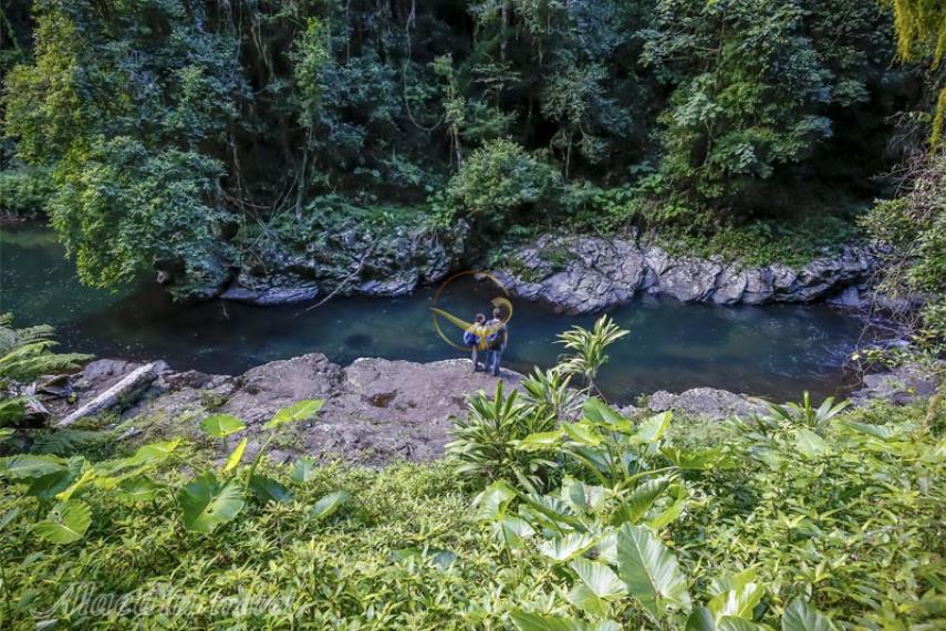 پارک ملی لمینگتون در گلد کوست | علاالدین تراول