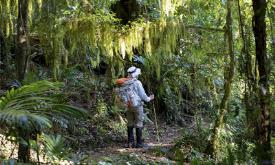 پارک ملی لمینگتون در گلد کوست - استرالیا