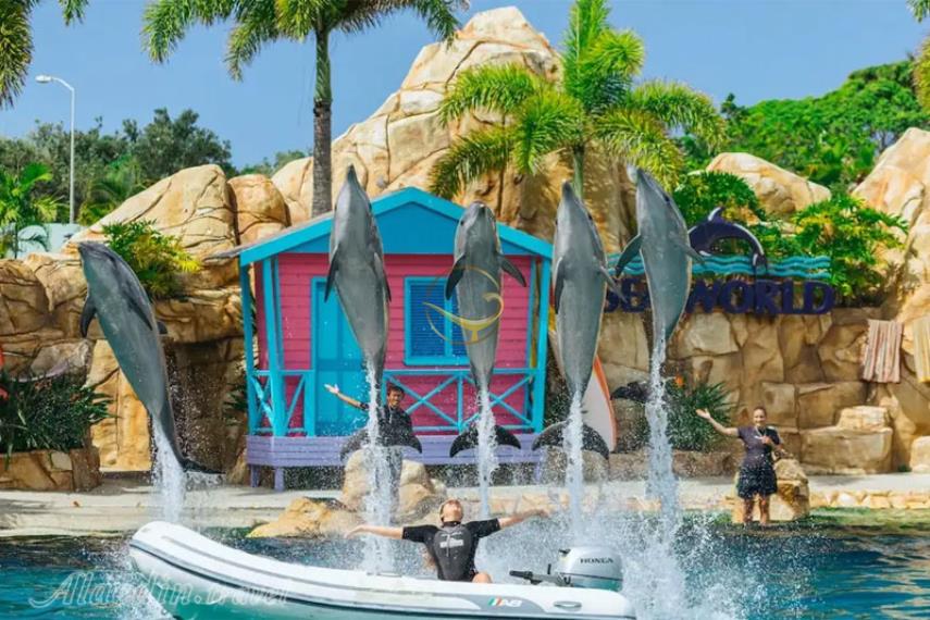 سی ورلد گلد کوست | علاالدین تراول