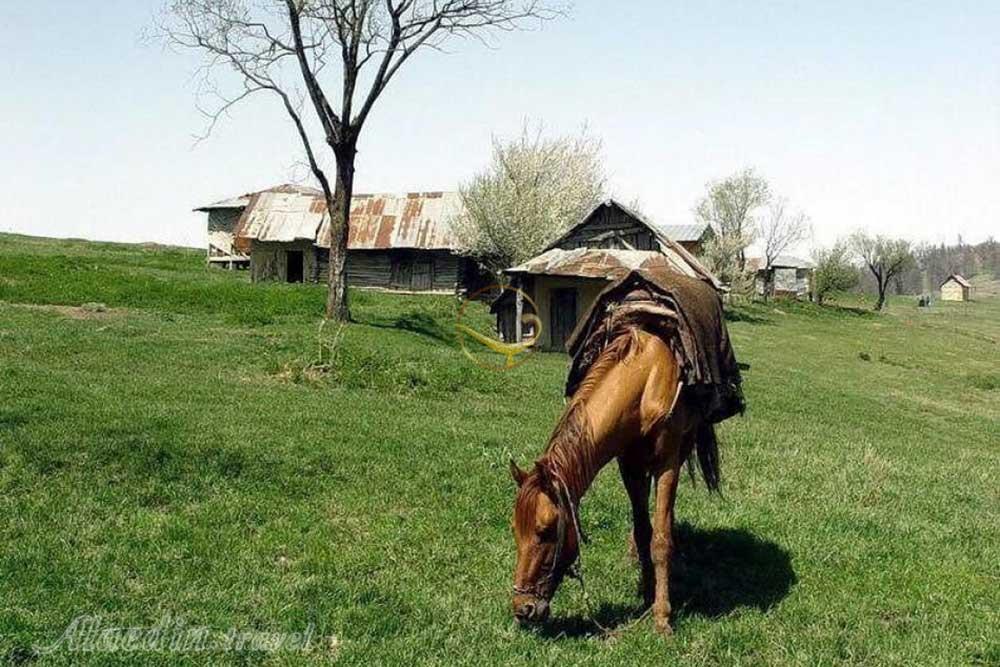 ییلاق جهان نما (دهکده جهان نما) گلستان | علاءالدین تراول