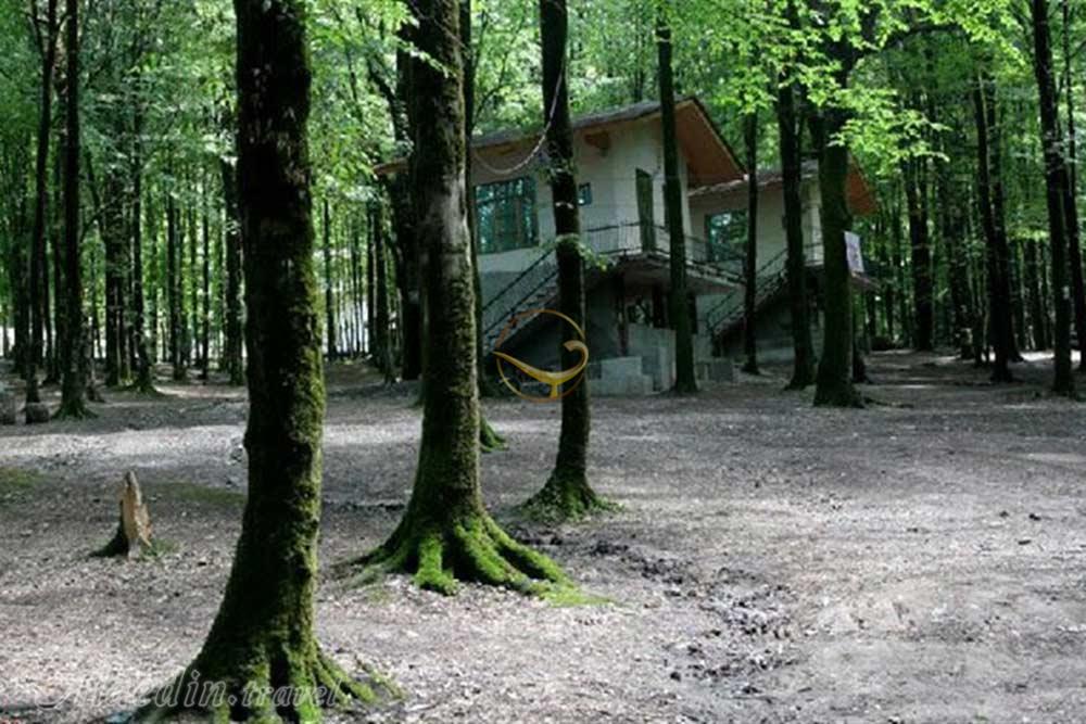 پارک جنگلی کردکوی گرگان | علاءالدین تراول