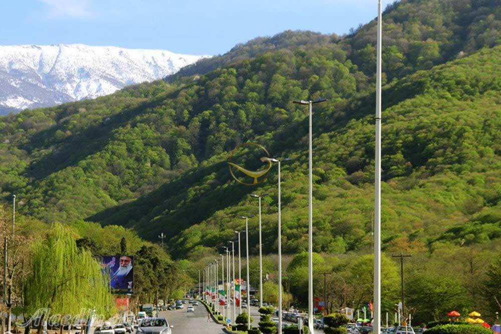 پارک جنگلی ناهارخوران گرگان | علاءالدین تراول