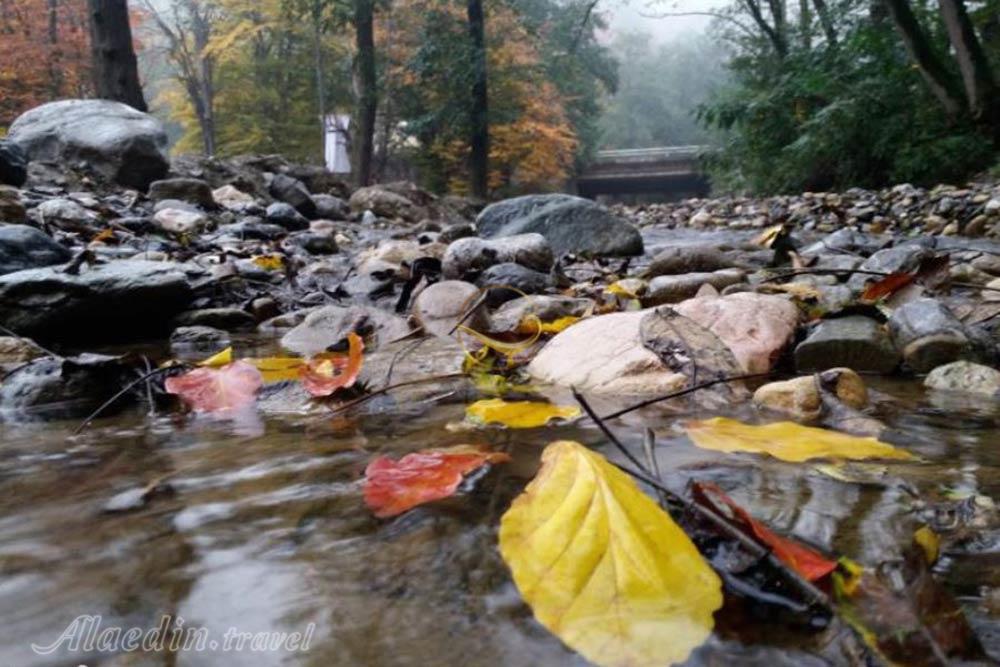 پارک جنگلی ناهارخوران گرگان | علاءالدین تراول