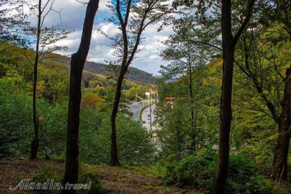 پارک جنگلی ناهارخوران گرگان | علاءالدین تراول