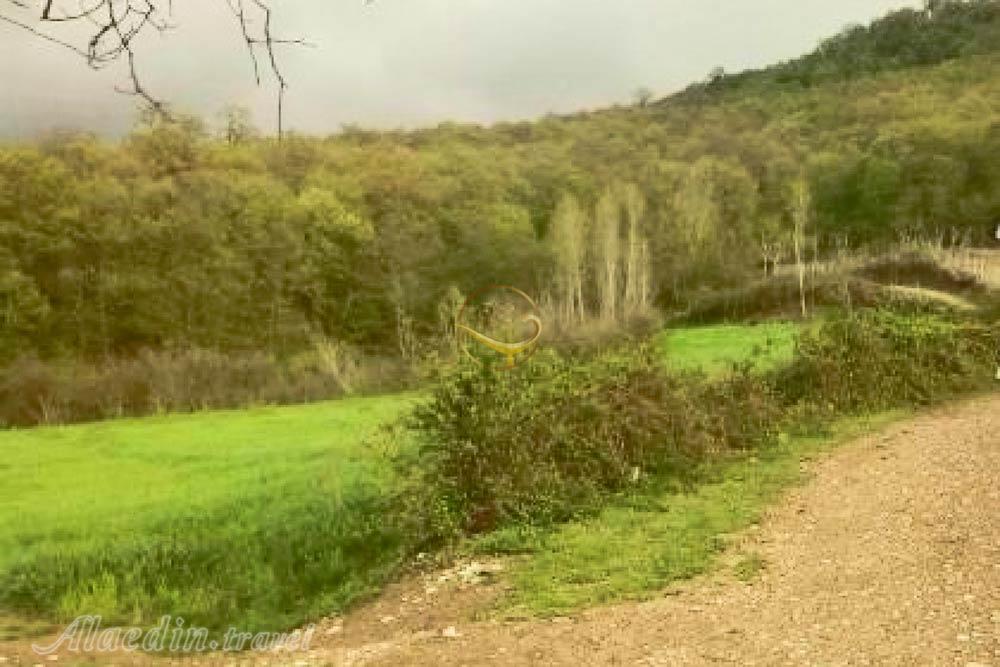 روستای شموشک علیا گرگان | علاءالدین تراول