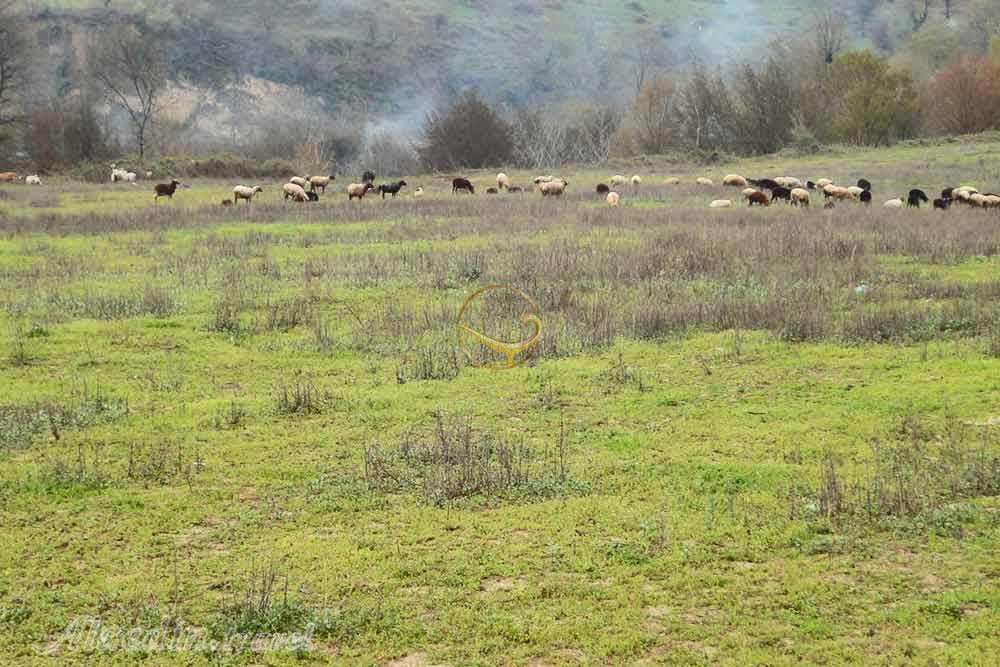 روستای شموشک علیا گرگان | علاءالدین تراول