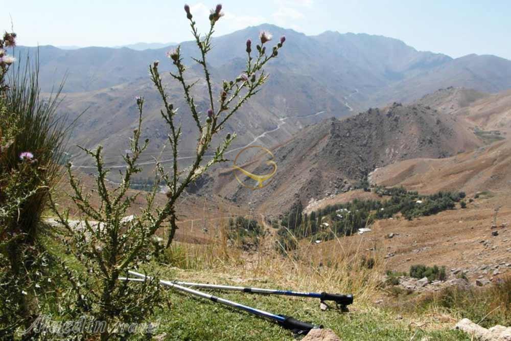 کوه الوند همدان | علاءالدین تراول