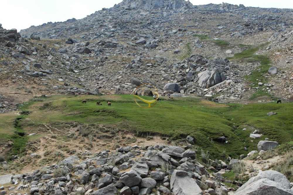 کوه الوند همدان | علاءالدین تراول