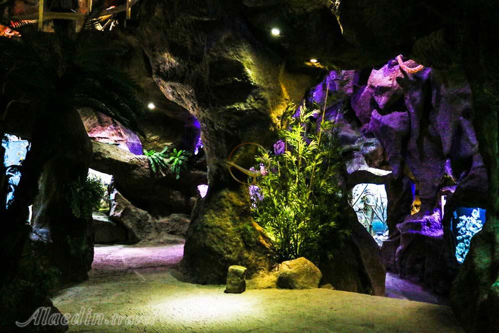 غار آکواریوم گنجنامه همدان | علاءالدین تراول